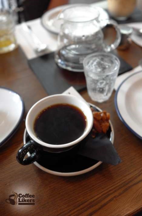 Best Robusta coffee brands