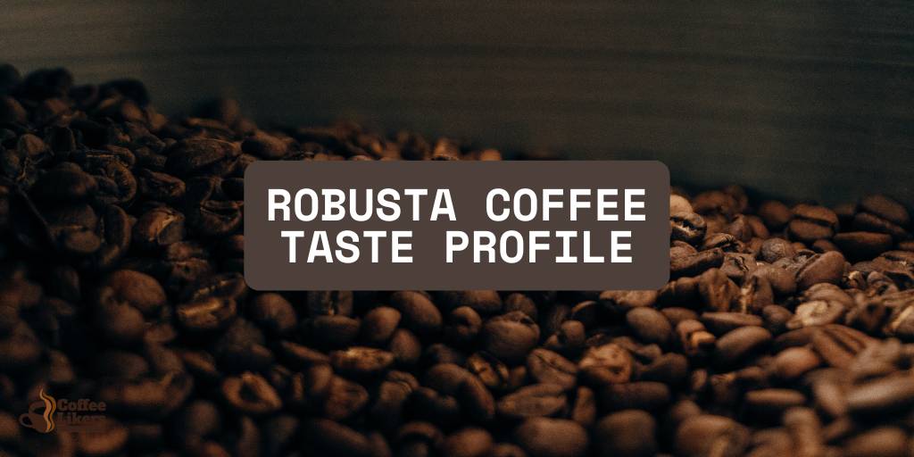 Robusta Coffee Taste Profile: Flavor Of Robusta Coffee