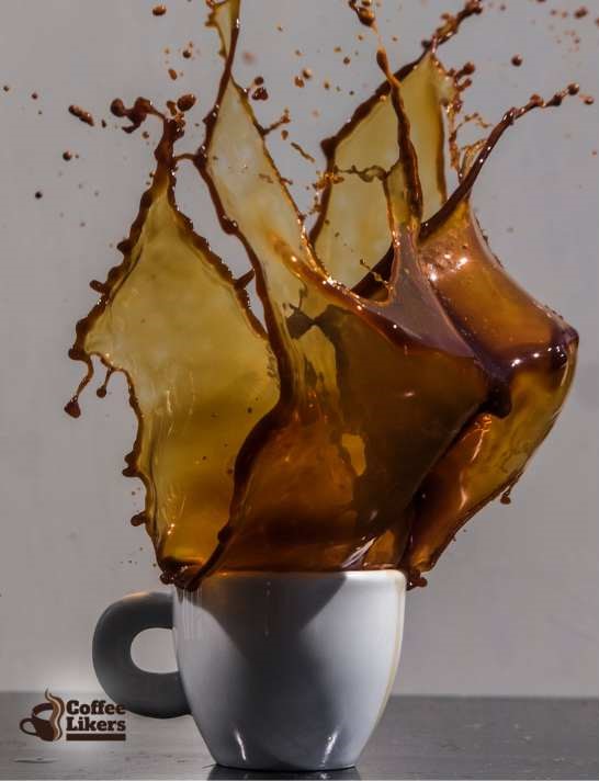 Robusta coffee side effects