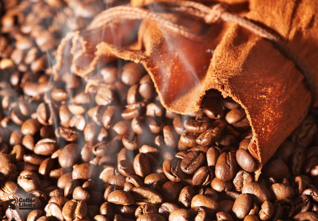 Robusta coffee beans