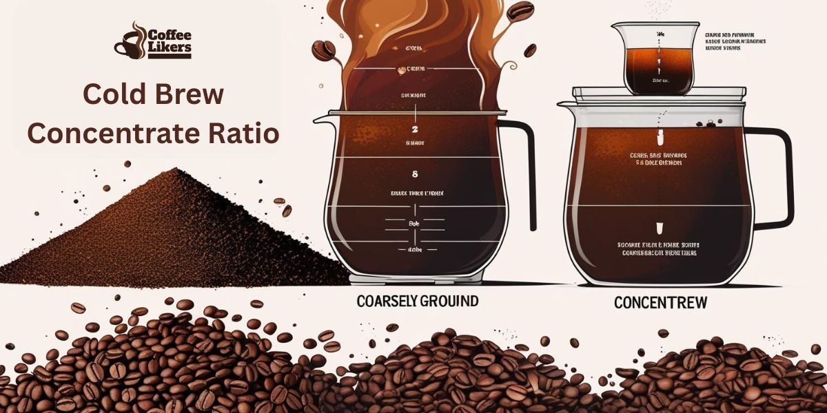 Cold brew concentrate ratio